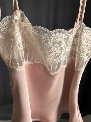 Blush satin slip